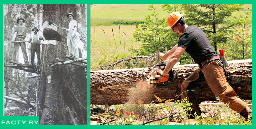 Лесорубы сейчас и в прошлом веке