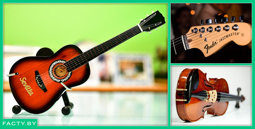 Удивительные факты о струнных музыкальных инструментах