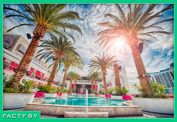 Сидеть в течение всего отдыха в отеле – явно не цель поездки