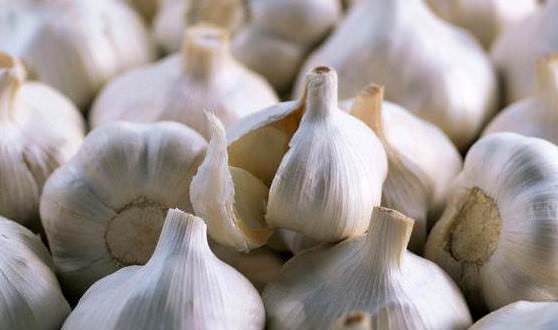 Луковицы чеснока