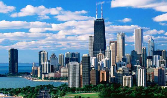 Америка и дикий чеснок