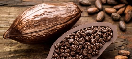 Бобы с дерева Theobroma Cacao