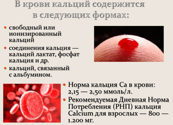 Таблица норм кальция в человеческом организме