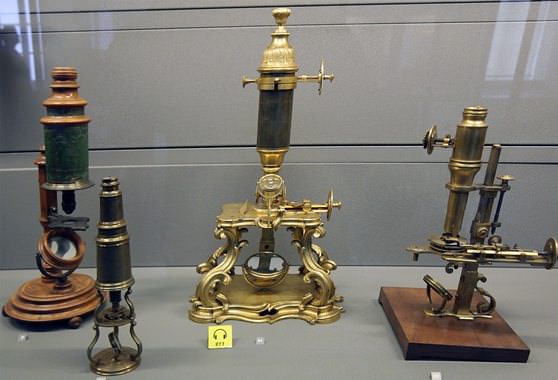Микроскопы ученого Эрнста 