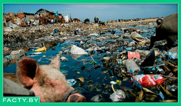 Разрушенная природа в Гаити 
