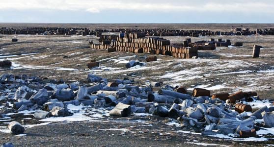  кроме полезных сокровищ, в нем ещё скрыто большое количество мусора