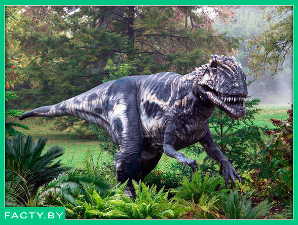 Огромный Тиранозавр