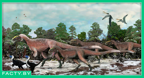 ящур вида Yutyrannus huali