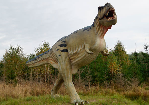 Динозавр бежит для спаривания