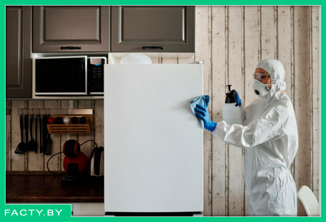 Дезинфекция — это уничтожение патогенных микроорганизмов (бактерий, вирусов, грибков) на поверхностях.