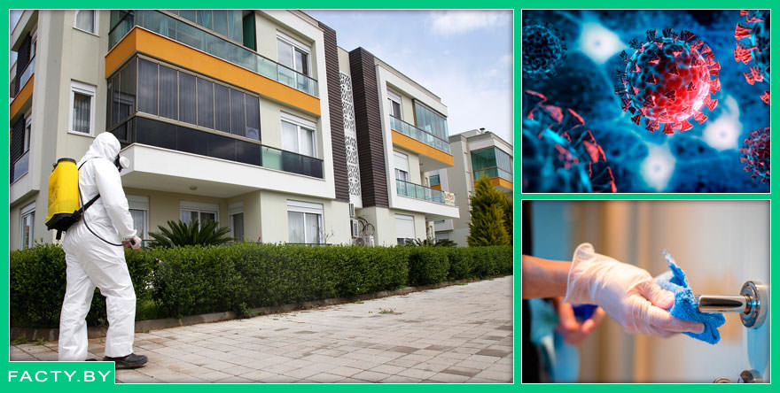 5 фактов о дезинфекции и вредителях, которые вас удивят